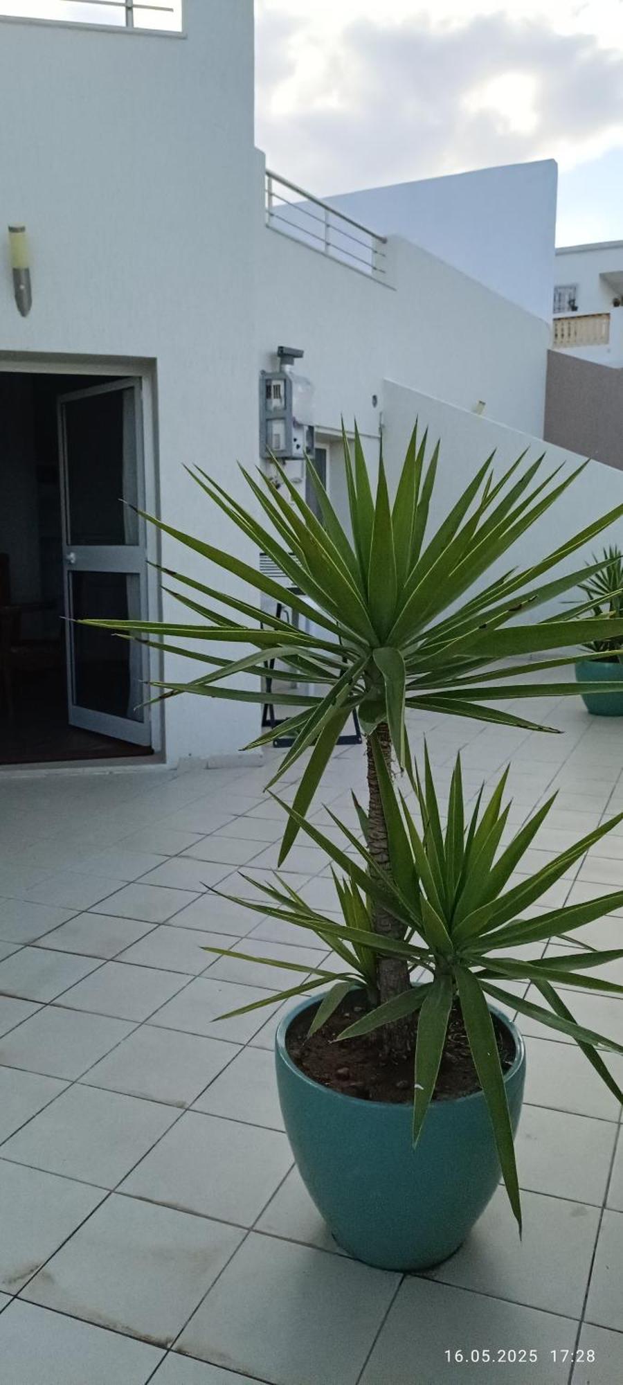 Debbabi Sans Coupure D'eau * Monastir